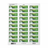 Kat in gras etiket (Full Sheet)