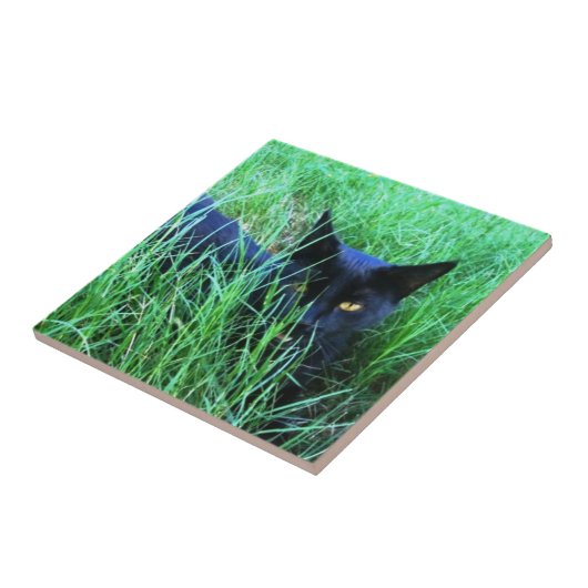Kat in Grass Tile Tegeltje (Zijkant)