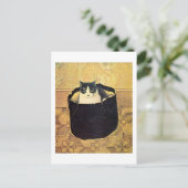 Kat in Hatbox, Solomon Meijer Briefkaart (Staand voorkant)