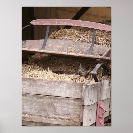 Kat in Hay Wagon Print (Voorkant)