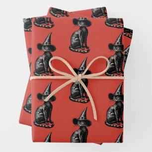 Kat in Heks Pet  Illustratie Inpakpapier Vel