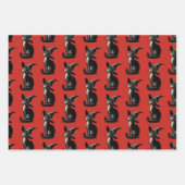 Kat in Heks Pet  Illustratie Inpakpapier Vel (Voorkant 3)