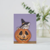 Kat in heksenvlees pet in pompoen briefkaart (Staand voorkant)