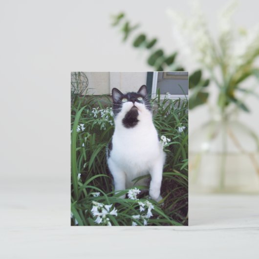 Kat in het briefkaart bloemen (Staand voorkant)