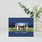 Kat in het Briefkaart van de Kunst van de Waterver (Staand voorkant)