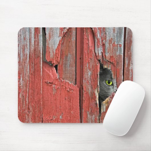 Kat in het gat in de schuur muismat (Met muis)