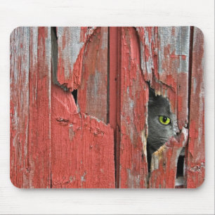 Kat in het gat in de schuur muismat