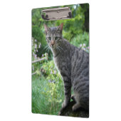 Kat in het klembord van Zen Garden (Links)