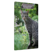 Kat in het klembord van Zen Garden (Rechts)