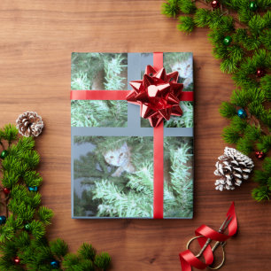 Kat in het omlooppapier van de boom cadeaupapier