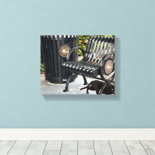 Kat in het park canvas afdruk (Insitu (Houten vloer))