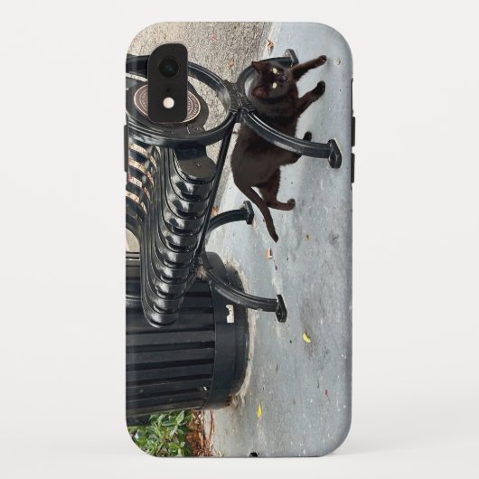 Kat in het park Case-Mate iPhone case (Achterkant)