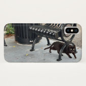 Kat in het park Case-Mate iPhone case (Achterkant (horizontaal))