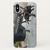 Kat in het park Case-Mate iPhone case (Achterkant)