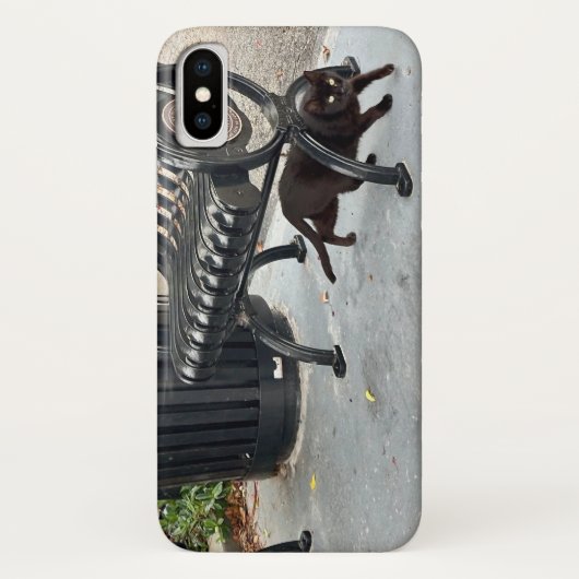 Kat in het park Case-Mate iPhone case (Achterkant)