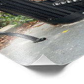 Kat in het park foto afdruk (Hoek)