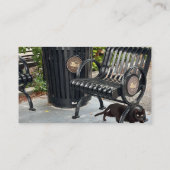 Kat in het park visitekaartje (Achterkant)