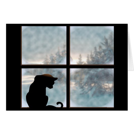 kat in het raam (Voorkant Horizontaal)