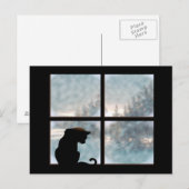 kat in het raam briefkaart (Voorkant / Achterkant)