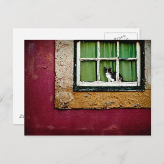 Kat in het raam briefkaart (Voorkant / Achterkant)