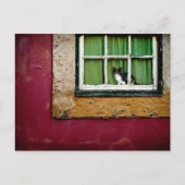 Kat in het raam briefkaart (Voorkant)