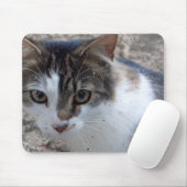 Kat in het raam muismat (Met muis)