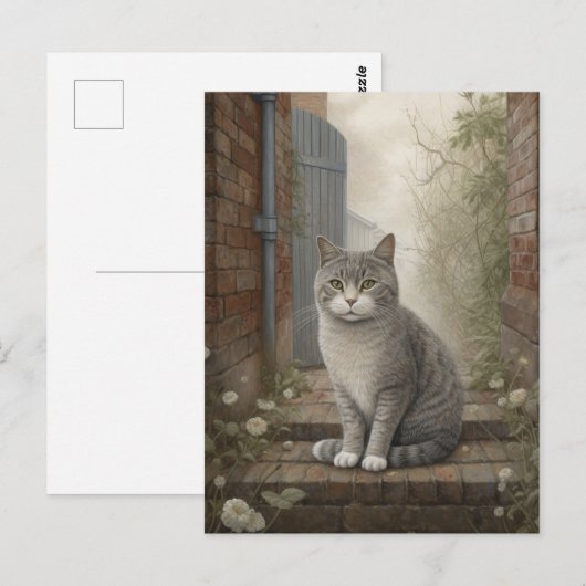 Kat in het straat Briefkaart (Voorkant / Achterkant)