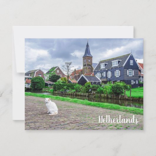 Kat in het traditionele vissersdorp (Voorkant)