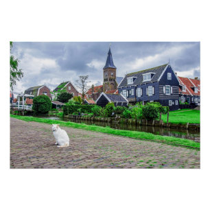 Kat in het traditionele vissersdorp perfect poster