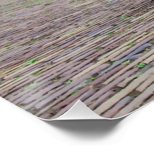 Kat in het traditionele vissersdorp perfect poster (Hoek)