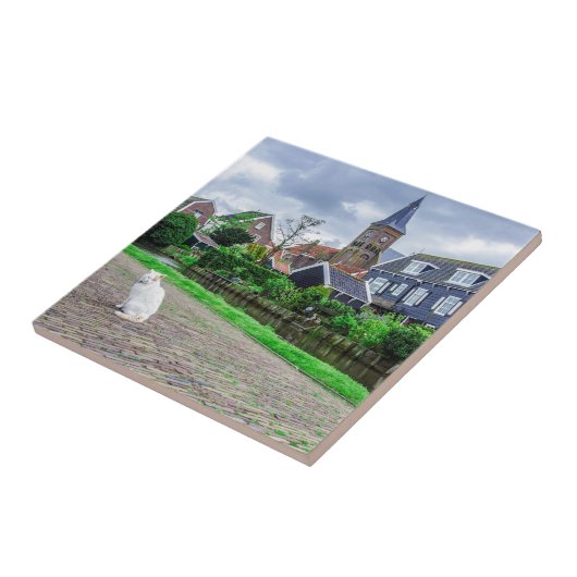 Kat in het traditionele vissersdorp tegeltje (Zijkant)