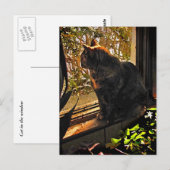 Kat in het venster briefkaart (Voorkant / Achterkant)