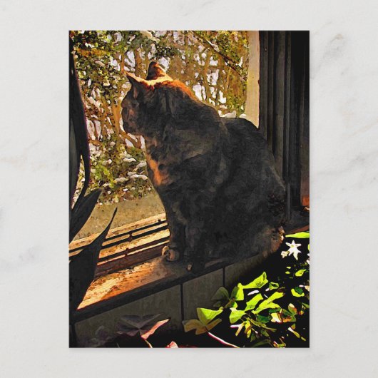 Kat in het venster briefkaart (Voorkant)