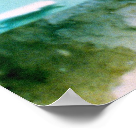 Kat in het venster/JSKFR003 Poster (Hoek)