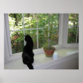 Kat in het Venster Poster (Voorkant)