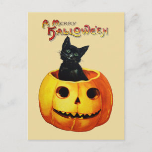 Kat in het Vintage-Halloween-Briefkaart Pumpkin Briefkaart