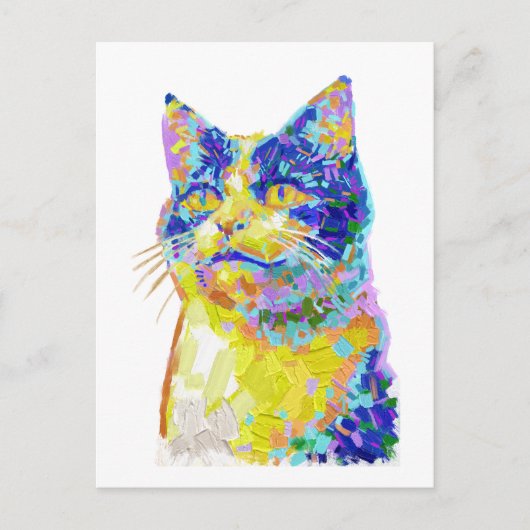 Kat in het zonlicht briefkaart (Voorkant)