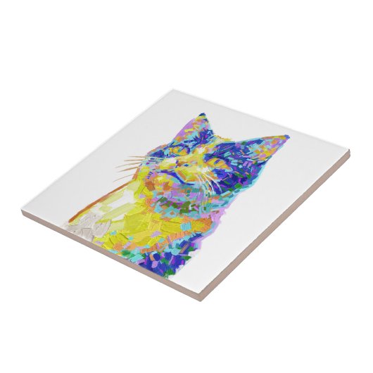 Kat in het zonlicht Button Tegeltje (Zijkant)