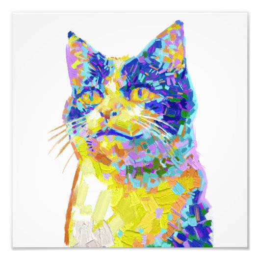 Kat in het zonlicht foto afdruk (Voorkant)