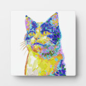 Kat in het zonlicht fotoplaat (Voorkant)