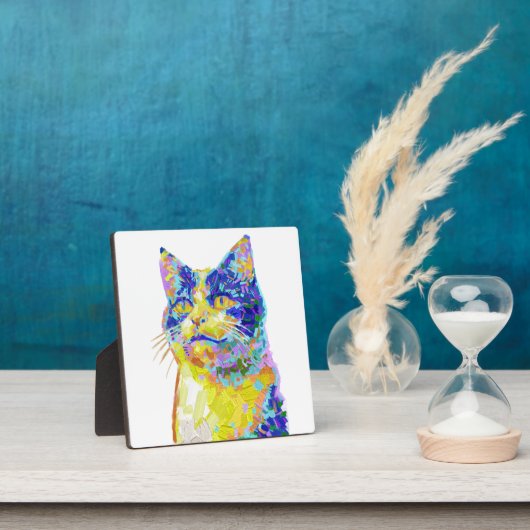 Kat in het zonlicht fotoplaat (Insitu)