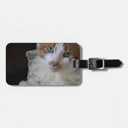 Kat in kanten halsband bagagelabel (Voorkant horizontaal)