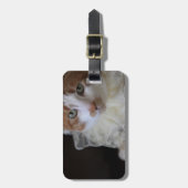 Kat in kanten halsband bagagelabel (Voorkant verticaal)