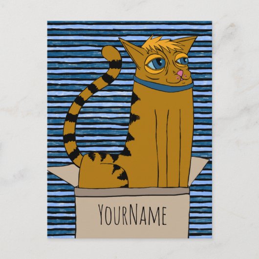 Kat in kartonnen doos Cartoon Tekening Briefkaart (Voorkant)