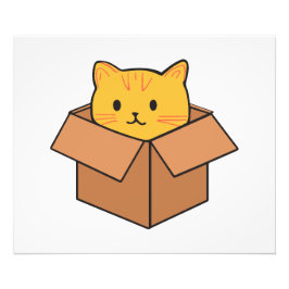 Kat in kartonnen doos foto afdruk