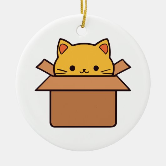 Kat in kartonnen doos keramisch ornament (Voorkant)