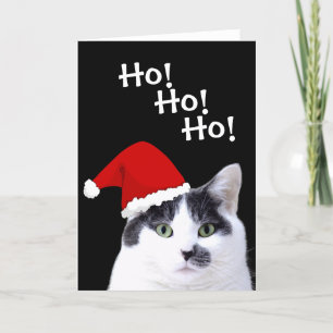 Kat in Kerstmis in Santa Hat Feestdagen Kaart