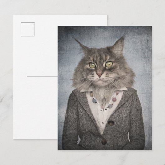Kat in kleding briefkaart (Voorkant / Achterkant)