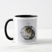 Kat in kooi mok (Links)