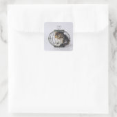 Kat in kooi vierkante sticker (Tas)